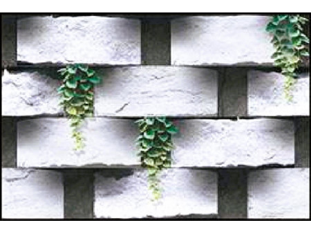 WALL TILES ELEVATION 450X300 (18X12)