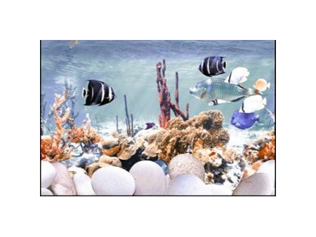 WALL TILES 300X450MM (18X12)